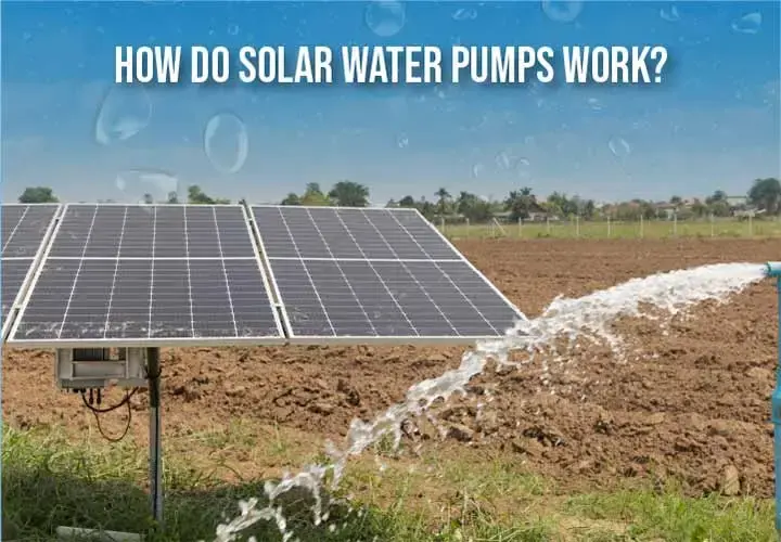 How Do Solar Water Pumps Work?