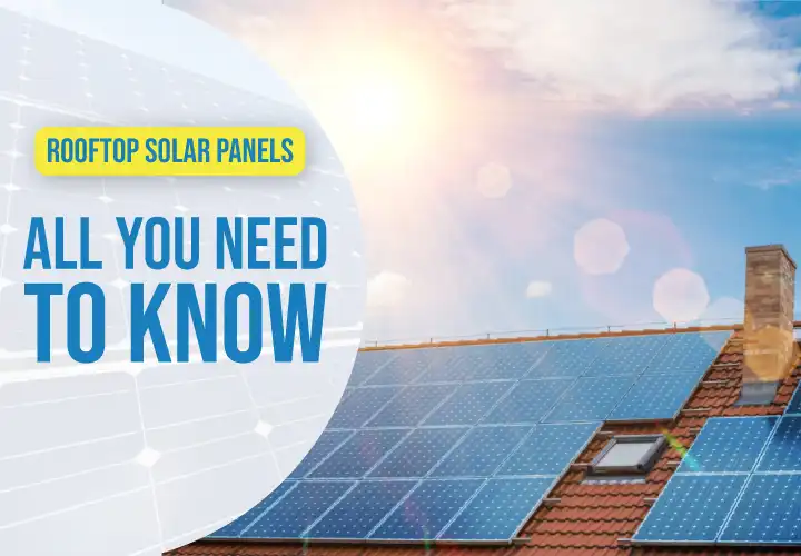 Rooftop Solar Panels – All You Need to Know