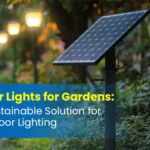 solar lights for garden