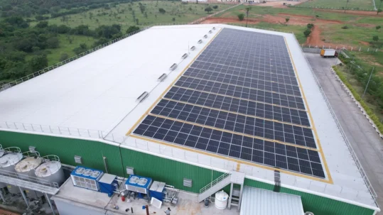 175 KW – Kangayam